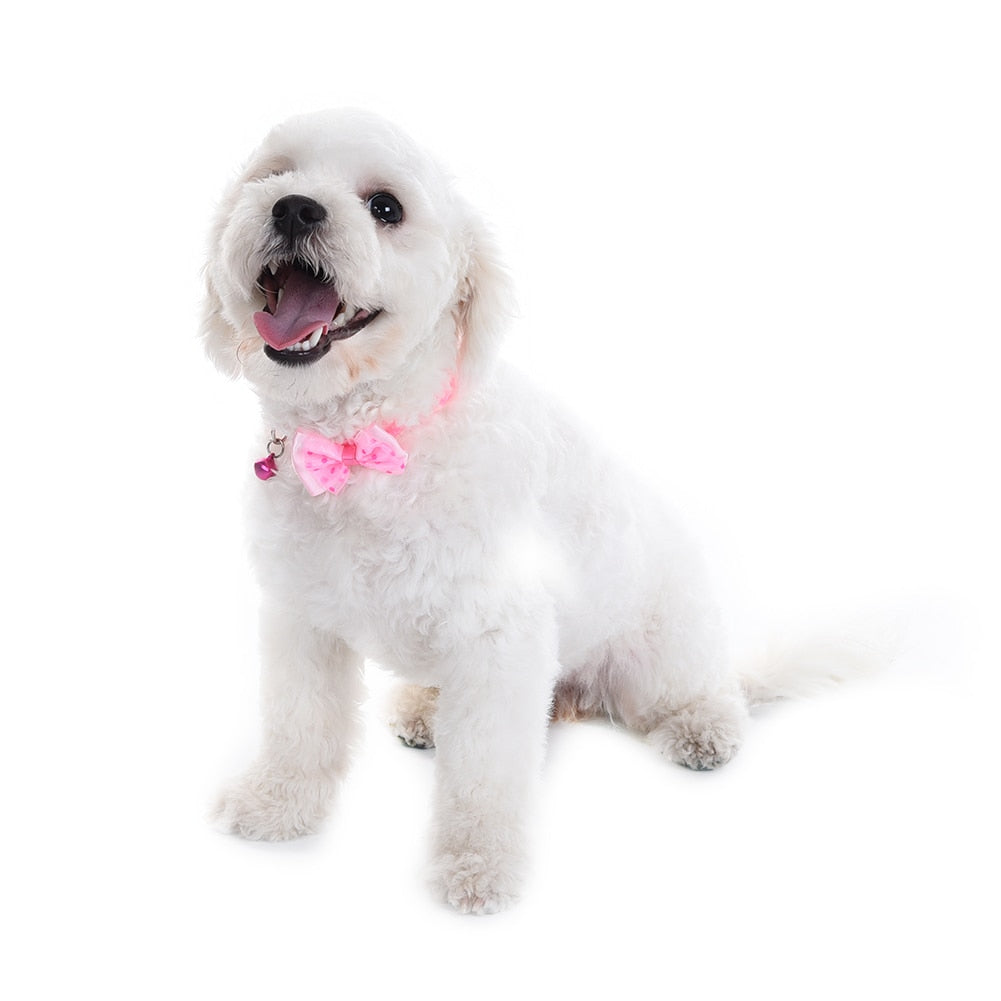 2pcs Bowknot Design Nylon Dog Puppy Cat Collars adjustable Necklace Cat Harness With Bell For Pet Small Animal Pets Supplies