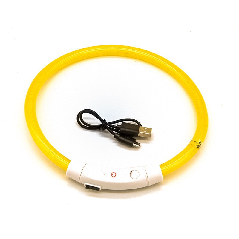 Collier lumineux pour chien, collier lumineux pour animal de compagnie, anneau de cou de chargement USB, collier lumineux LED pour chien