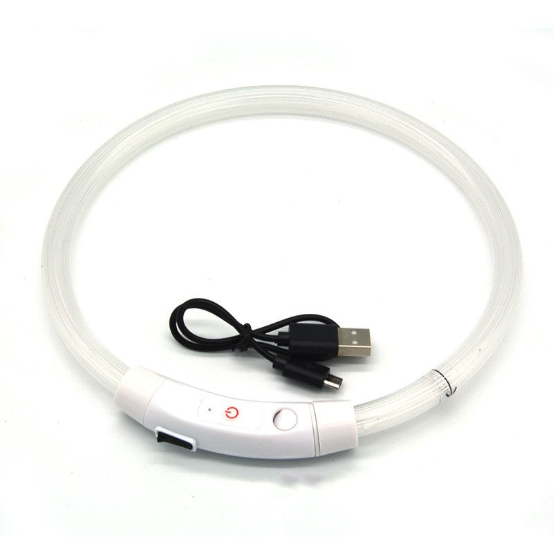 Collier lumineux pour chien, collier lumineux pour animal de compagnie, anneau de cou de chargement USB, collier lumineux LED pour chien