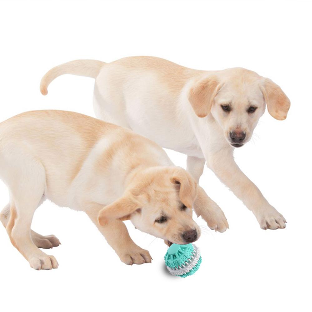 Pets Dog Toy Eco-friendly Rubber Food Leak Toys For Dogs Pet Training Have Fun Diet Control Dental Massaging Ball