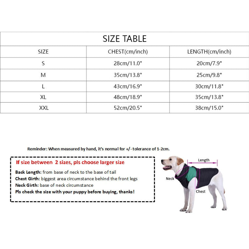 Pull en coton imprimé lettres pour chihuahua, vêtements de printemps pour petits chiens.