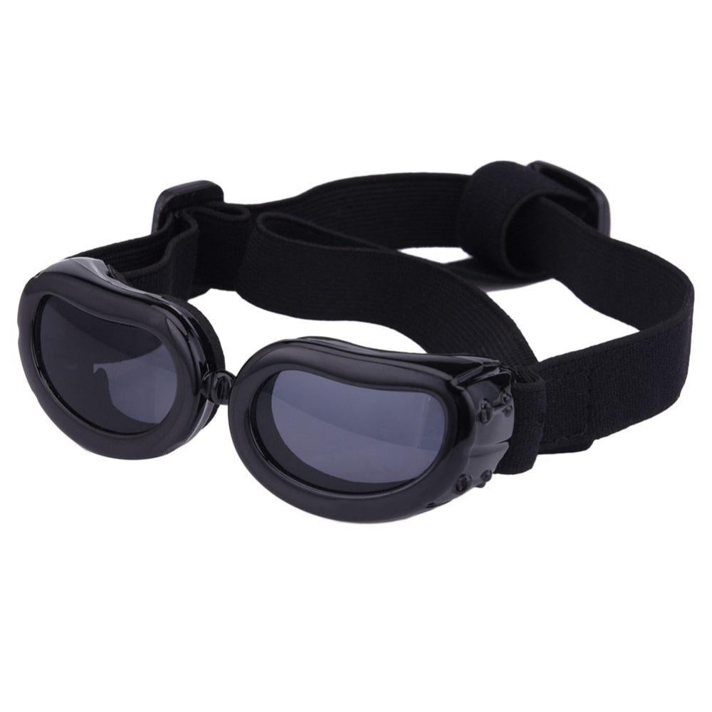 Lunettes de soleil cool pour la protection des yeux des animaux de compagnie et vos photos originales souvenir.