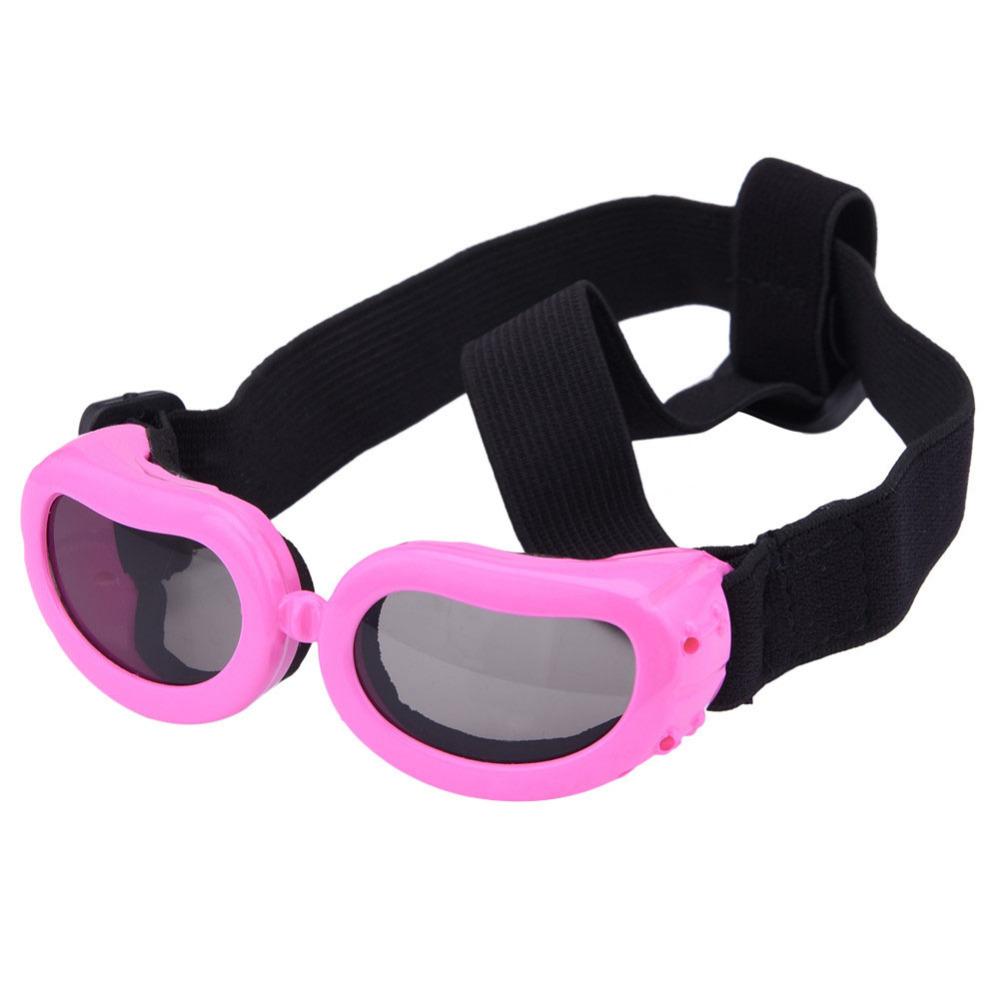 Lunettes de soleil cool pour la protection des yeux des animaux de compagnie et vos photos originales souvenir.