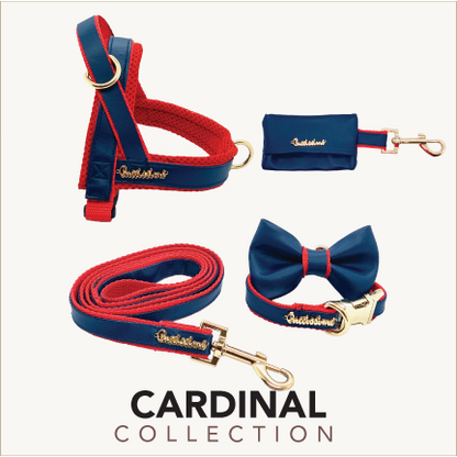 Cardinal collar