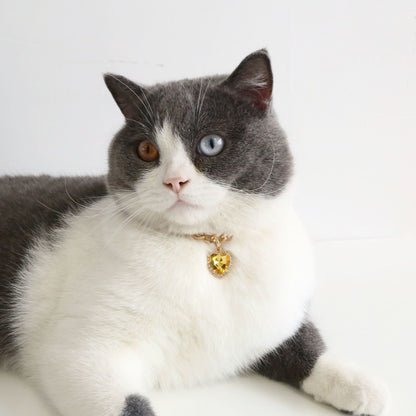 Pet  Luxury  Rhinestones Collar Adjustable Metal Heart-shaped  Pendant Color Kitty Puppy Necklace Products Cat Accessories