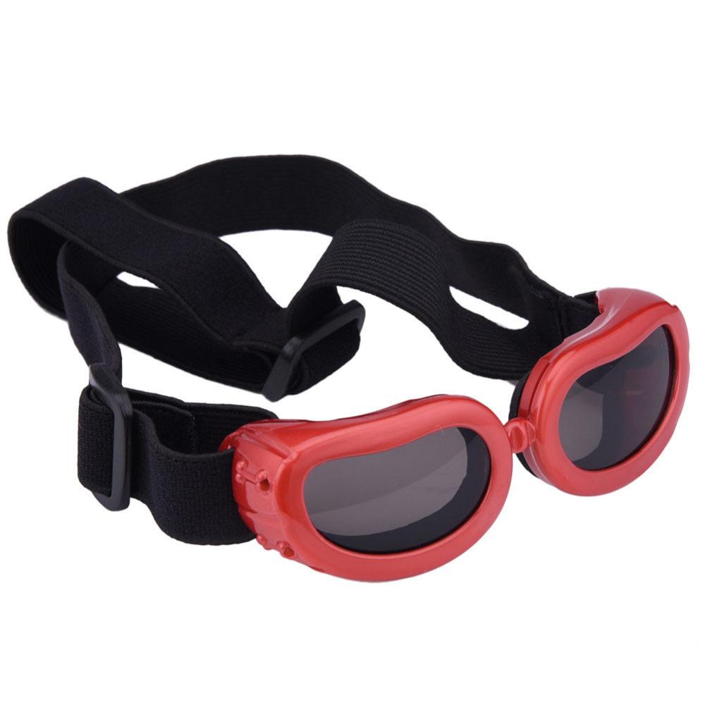 Lunettes de soleil cool pour la protection des yeux des animaux de compagnie et vos photos originales souvenir.