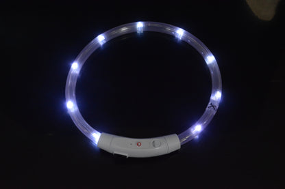Collier lumineux pour chien, collier lumineux pour animal de compagnie, anneau de cou de chargement USB, collier lumineux LED pour chien