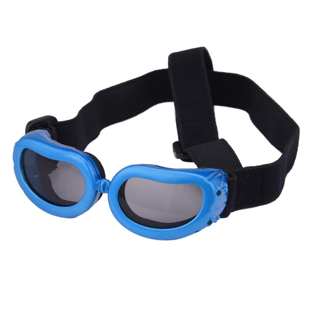 Lunettes de soleil cool pour la protection des yeux des animaux de compagnie et vos photos originales souvenir.