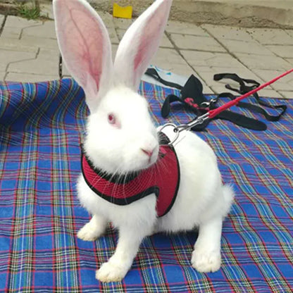 Rabbits Hamster Vest Harness With Leas Bunny  Mesh Chest Strap Harnesses Ferret Guinea Pig Small Animals Pet Accessories S/M/L 4