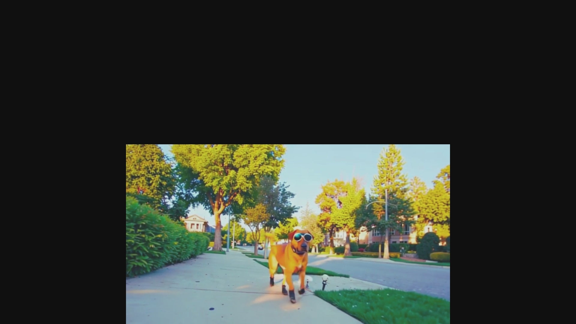 Charger la vidéo : 