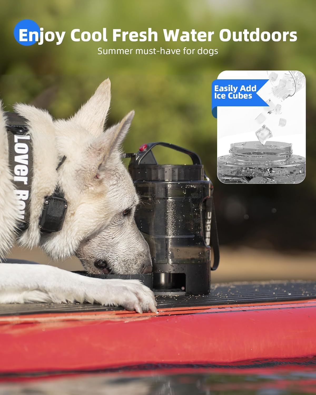 product_gamelle_portable_pour_chiens shop_chats shop_accessoires_pour_chiens produits_4pattesdeluxes